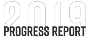 2019 IES Progress Rerport