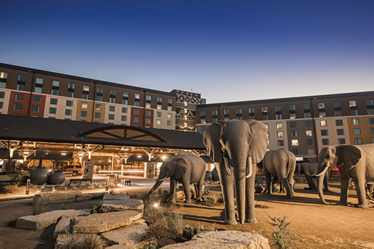 Project in Pictures: Kalahari Water Park