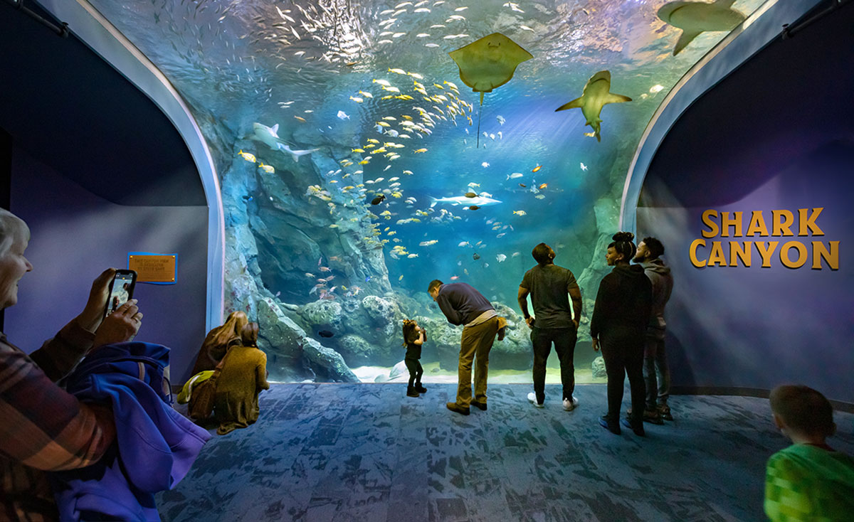 How They Did It: St. Louis Aquarium at Union Station