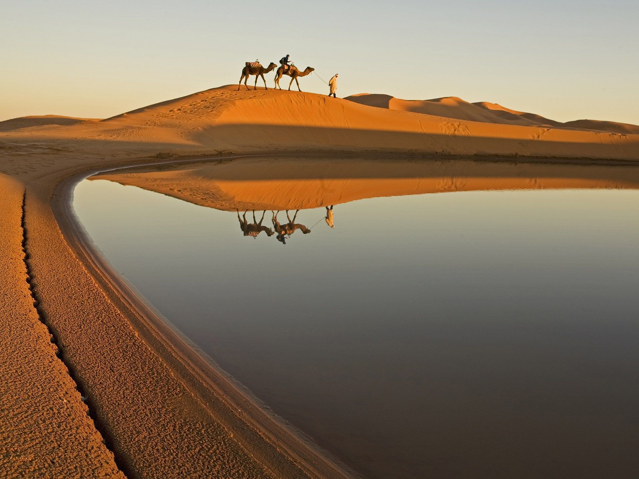 IES MENA | A desert with an oasis and a man with to camels on the background