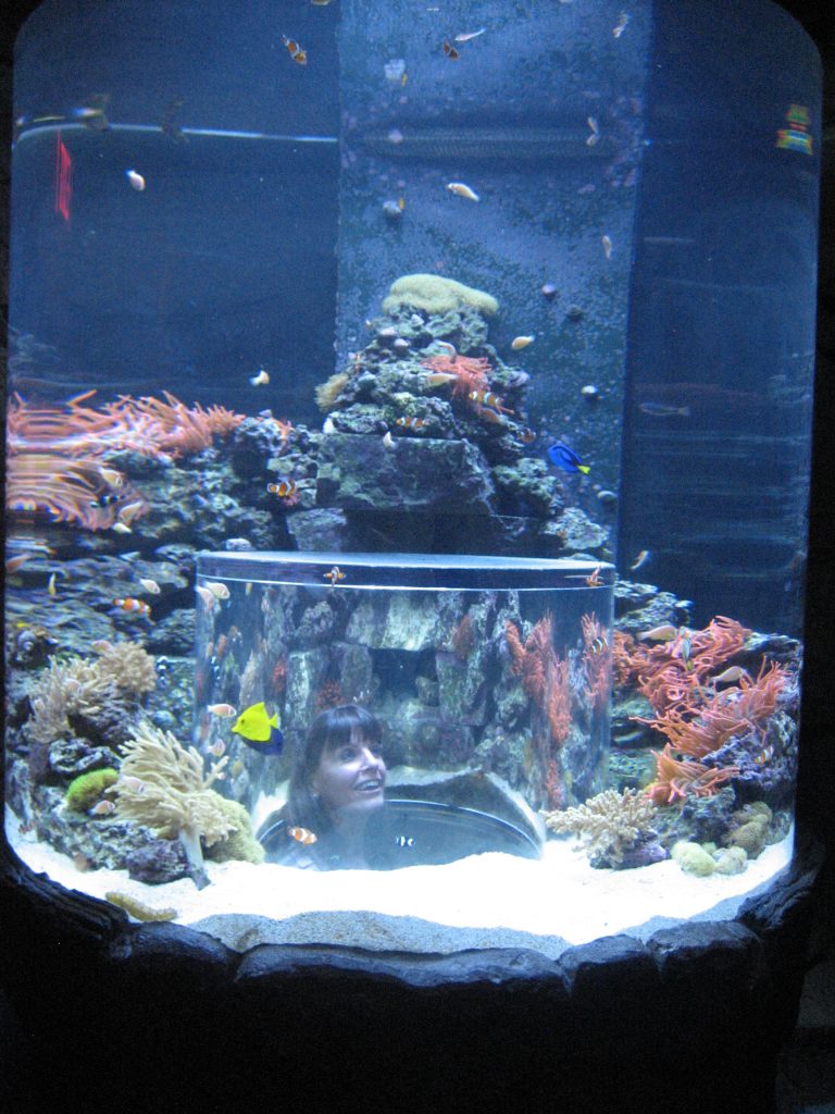 Creatures of Habitat
