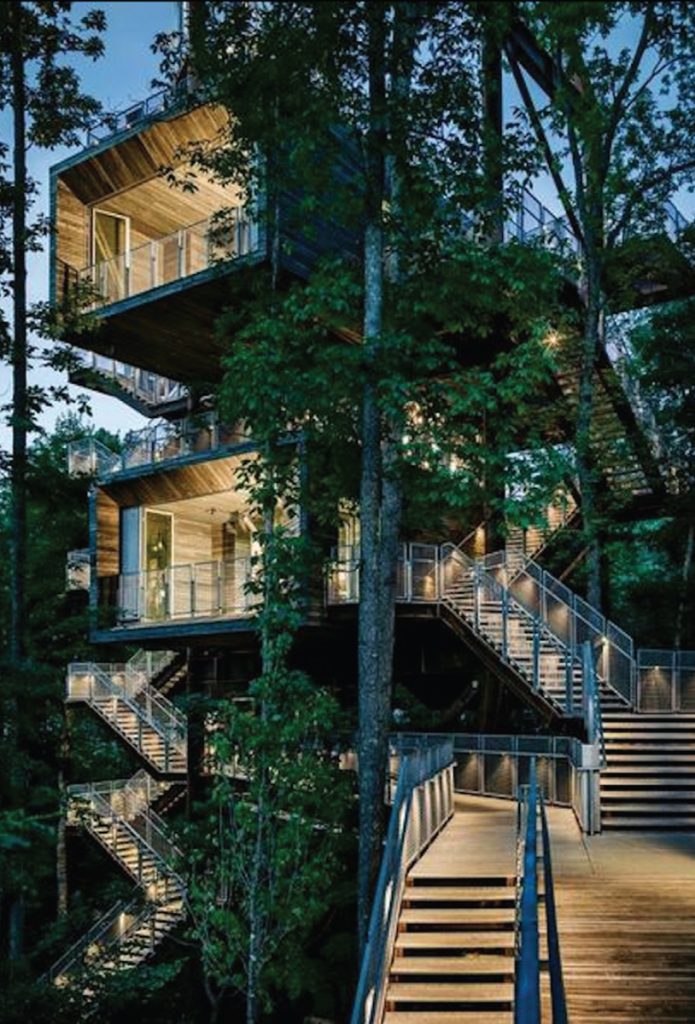 Biophilic Design and the Nature of Light