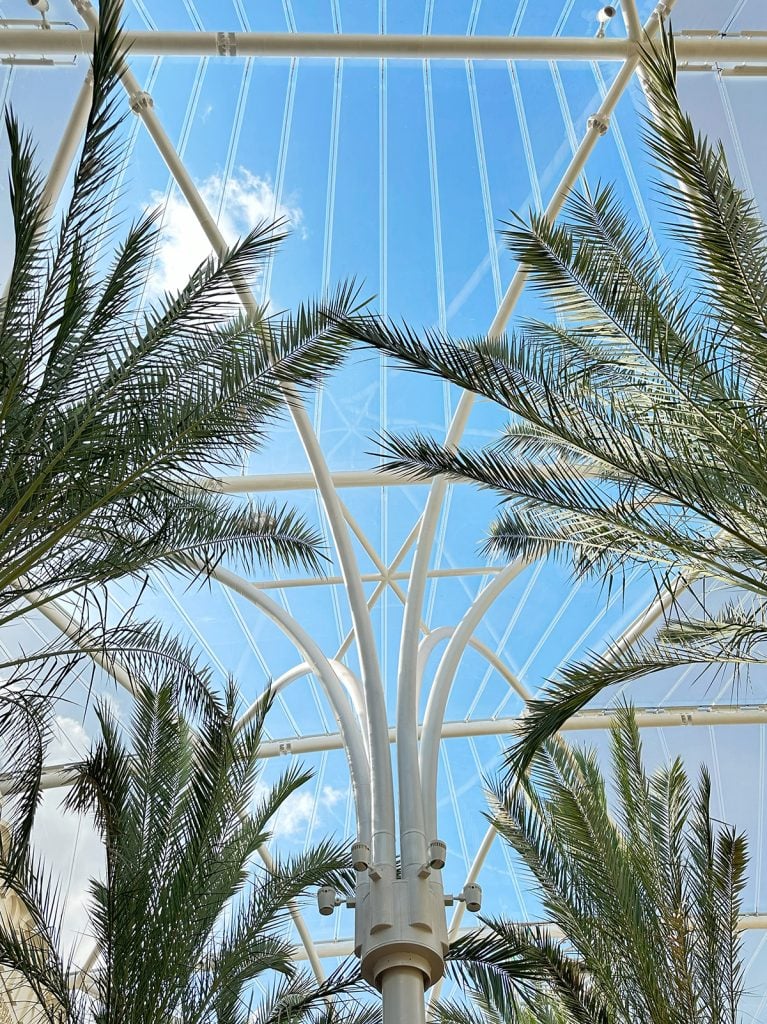 A KenyanCampus Oasis