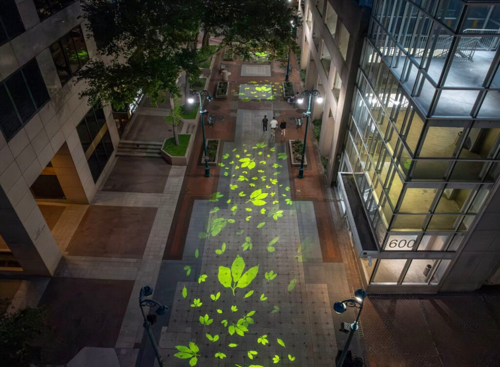 A Quarter for Your Thoughts | Weaving remembrance, culture, and community into the fabric of New Orleans | Projections of magnolias in multiple sizes helped the city reimagine the Lafayette Street corridor. Photo: Jennie West